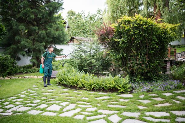 Blue Mound, IL Tree Services Company
