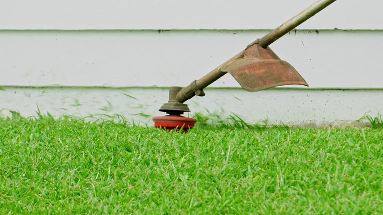 Best Lawn Maintenance Plans  in Blue Mound, IL